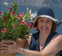 Yoi Advantage Image of Carmen