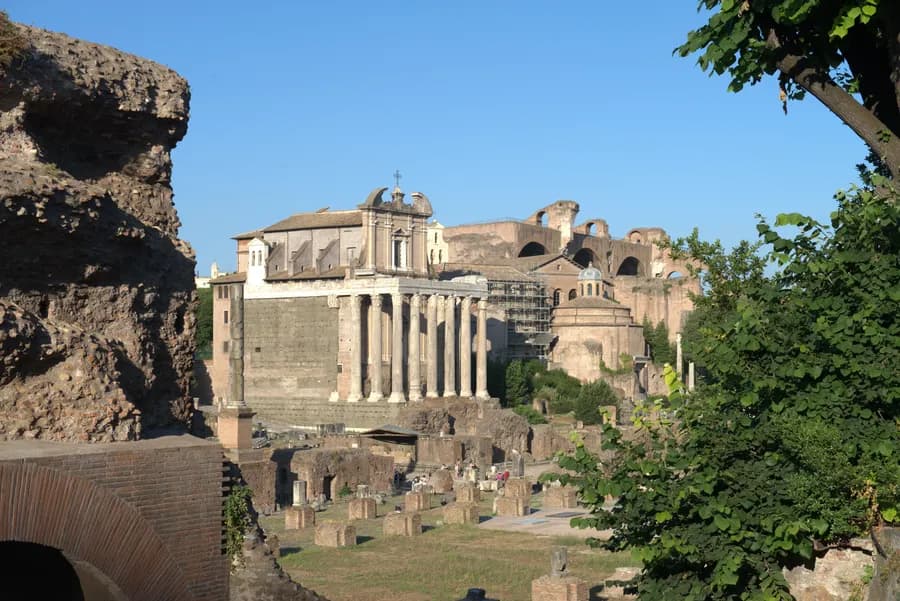 the Roman Forum framed by trees