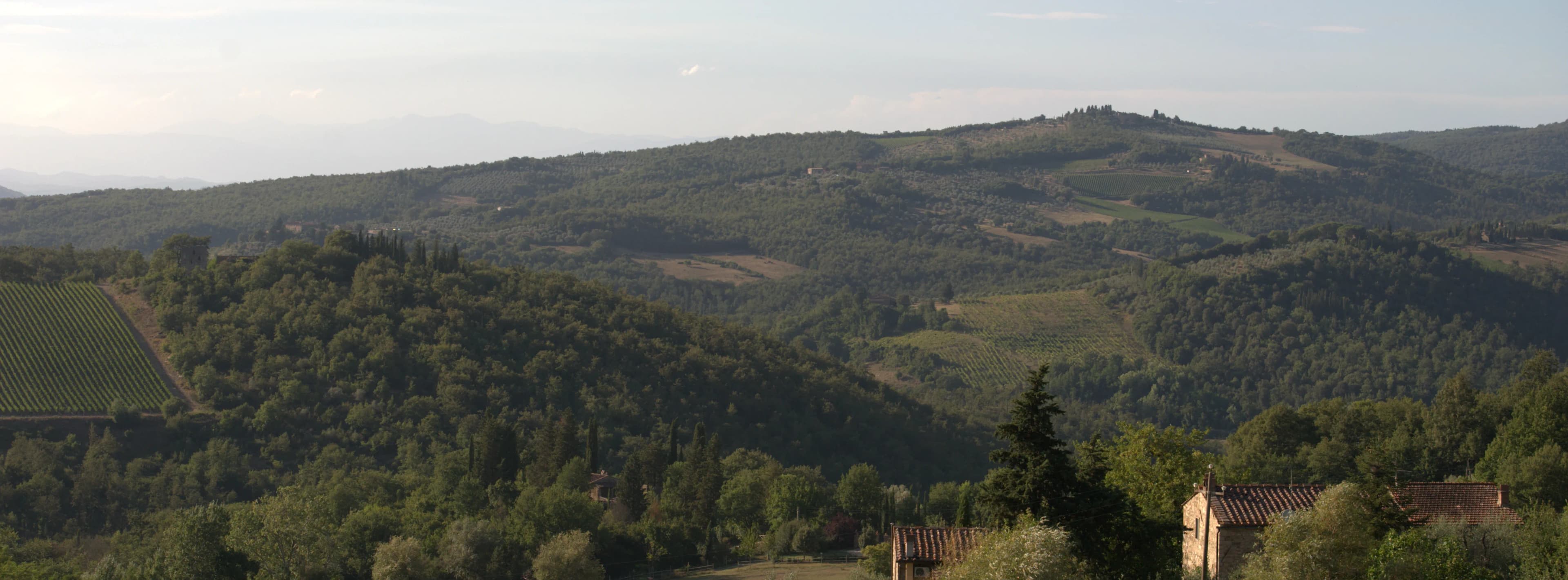 Tour of Tenuta Vannulo Mozzarella Farm and Lunch