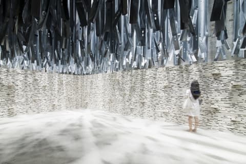 Venice international architecture show revolves around intriguing concept of "free space"