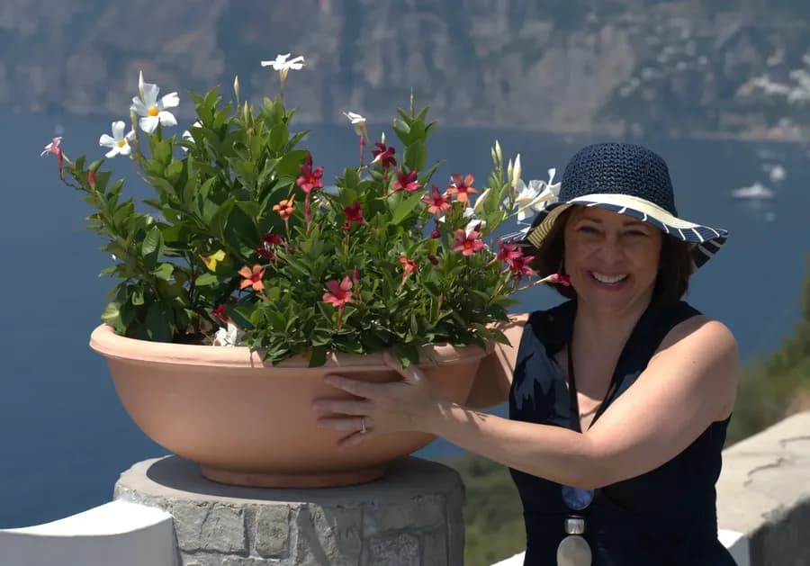 Yoi Advantage Image of Carmen